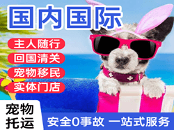 阿尔山机场物流国际宠物托运 【国
